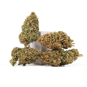 Allium OG • 22% Total Cannabinoids