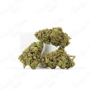 Special Sauce • 19% Total Cannabinoids