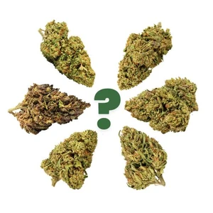 6 Strain Mystery Sampler