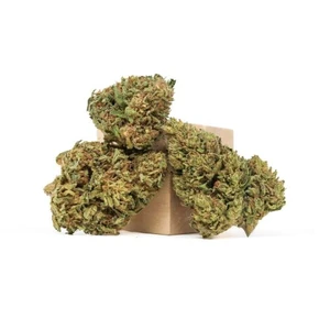 Oregon Guava • 22.1% Total Cannabinoids