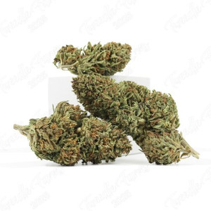 Pear Blossom • 17.3% Total Cannabinoids