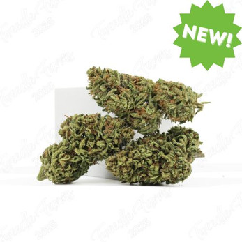 Velox • 19.4% Total Cannabinoids