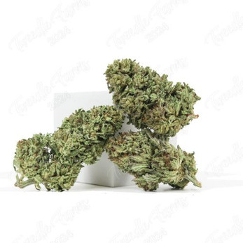 Pineapple Kush • 25.1% Total Cannabinoids