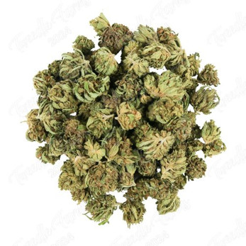 Blue Orchid Smalls • 16.2% Total Cannabinoids