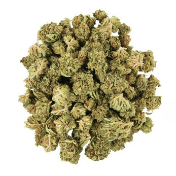Tropical Tempest Smalls • 19.3% Total Cannabinoids