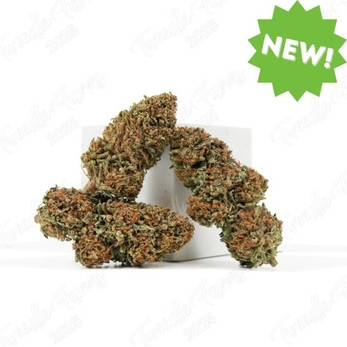 Strawberry Jam • 19.2% Total Cannabinoids