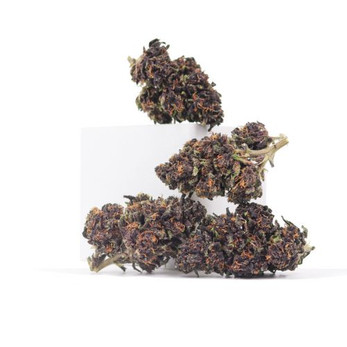 Wesley's Wish • 18.8% Total Cannabinoids