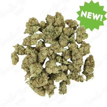 La Crema CBG Smalls • 16.3% Total Cannabinoids
