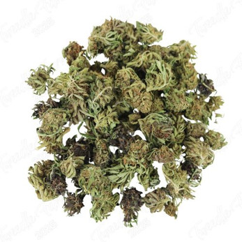 Strawberry Fritter Smalls • 15.9% Total Cannabinoids