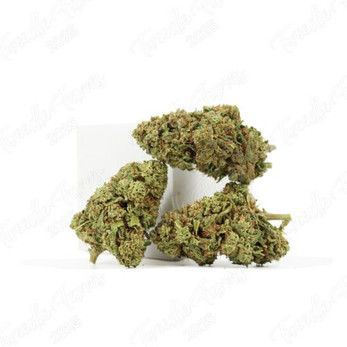 Special Sauce • 19% Total Cannabinoids