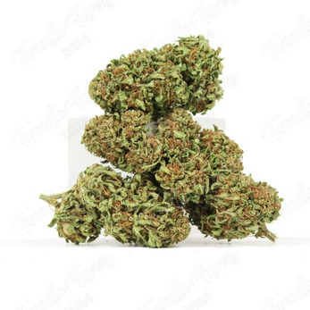 Lifter • 25.7% Total Cannabinoids