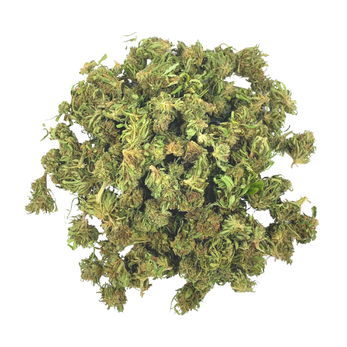 Forbidden V Smalls • 14.2% Total Cannabinoids