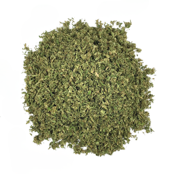 Forbidden V Shake • 14.2% Total Cannabinoids