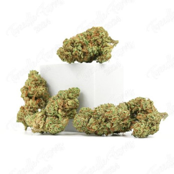 Greenhouse • Mango Pie • 21.5% Total Cannabinoids