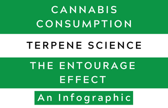 An Infographic: Cannabis Consumption, Terpene Science, & The Entourage Effect