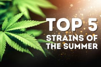 Top 5 Hemp Flower Strains for Summer