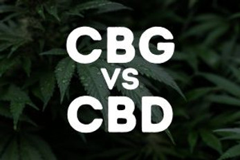 CBG vs CBD: Understanding the Difference