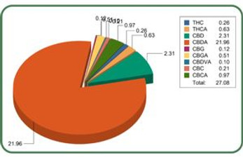 Lab Testing Explained: How to Read Your CBD Flower’s Certificate of Analysis