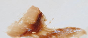 Solventless CBD Extraction: A how-to guide by Pure Pressure & Tweedle Farms