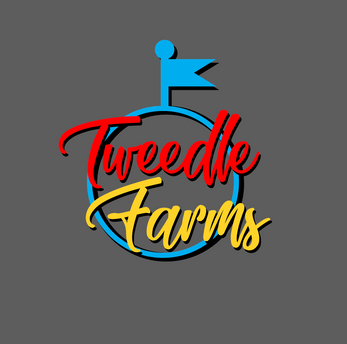 A Formal Introduction to Tweedle Farms