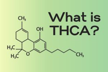What is THCA? Also, what the heck is THCA hemp flower?