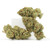 Tropical Tempest • 19.3% Total Cannabinoids