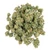 Oregon Sweetgum Smalls • 18.4% Total Cannabinoids