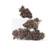 Wesley's Wish • 18.8% Total Cannabinoids
