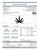 Full Spectrum CBD Tincture • 2000mg