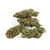 Forbidden V • 14.2% Total Cannabinoids