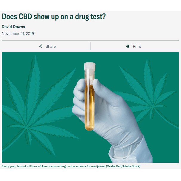 Does CBD show up on a drug test?