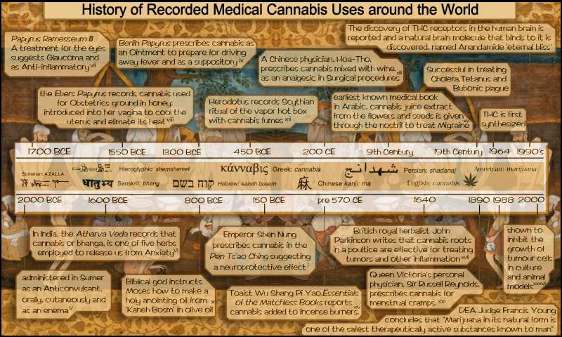 History of Medical Cannabis Uses: Infographic