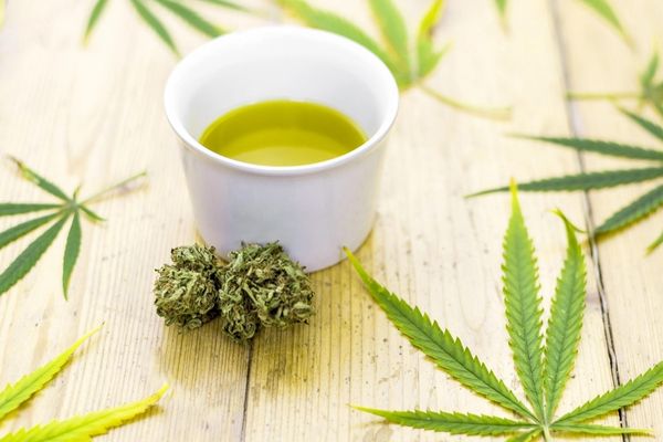 Cooking With Hemp: The Best CBD-Infused Olive Oil Recipe