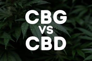 CBG vs CBD: Understanding the Difference