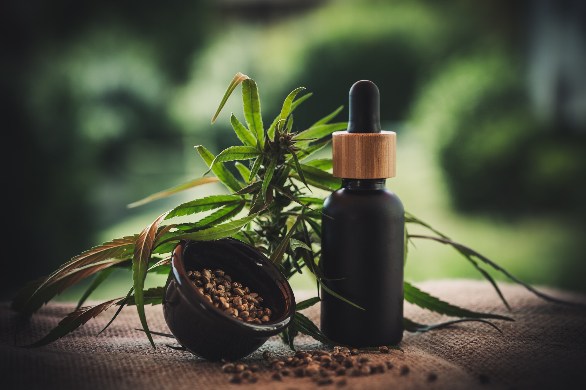 What Is CBDV and How Is It Different From CBD? An Overview