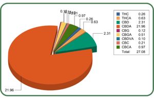 Lab Testing Explained: How to Read Your CBD Flower’s Certificate of Analysis