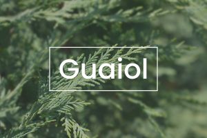 Terpenes 101: Guaiol