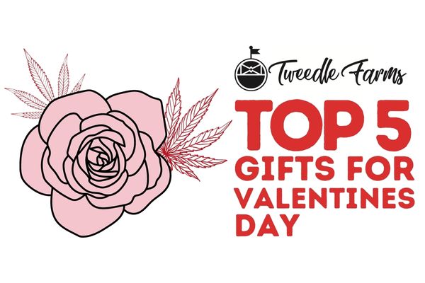 Valentine's Day CBD Gift Guide 2023