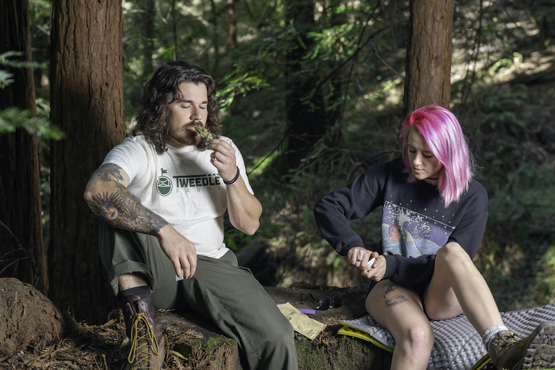 What Do Hemp Buds Smell Like? Tweedle Farms