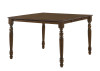Dylan Counter Height Table / DN00622