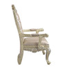 Vatican Arm Chair (Set-2) / DN00469