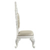 Vanaheim Side Chair (Set-2) / DN00679