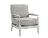 Saraid Accent Chair / AC01164