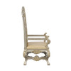 Danae Arm Chair (Set-2) / DN01199