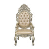 Sorina Arm Chair (Set-2) / DN01210