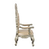 Sorina Arm Chair (Set-2) / DN01210
