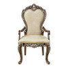 Latisha Arm Chair (Set-2) / DN01359