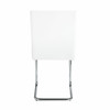 Palton Side Chair (Set-2) / DN00733