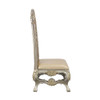Danae Side Chair (Set-2) / DN01198