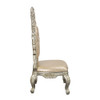 Sorina Side Chair (Set-2) / DN01209
